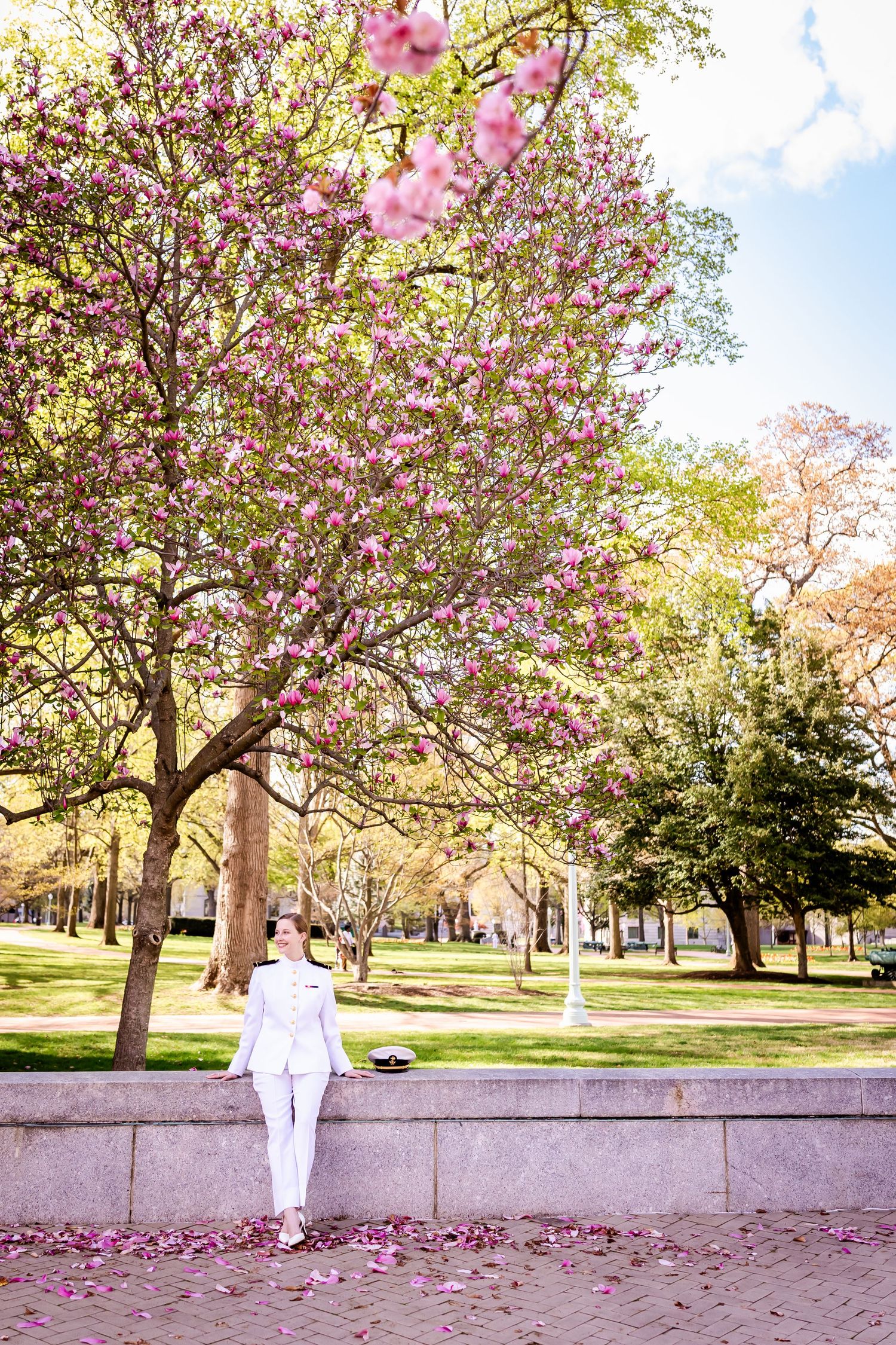 A person in white clothing leans against a wall beneath blooming pink magnolia trees in a springtime park setting.
