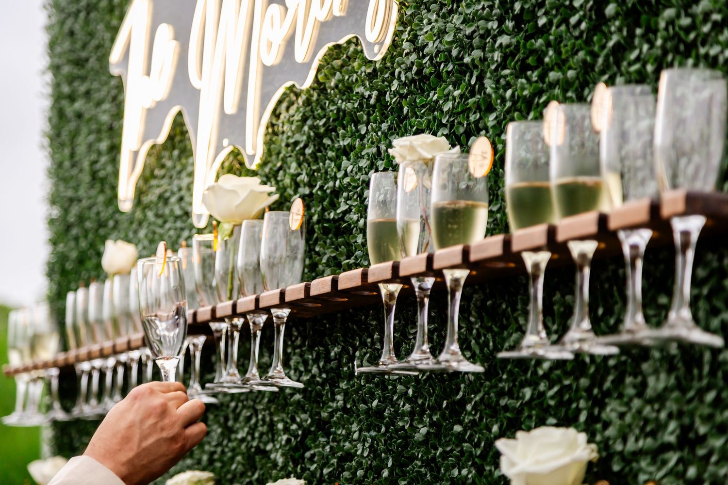 Row of champagne glasses lined up on wooden shelf against green foliage backdrop.