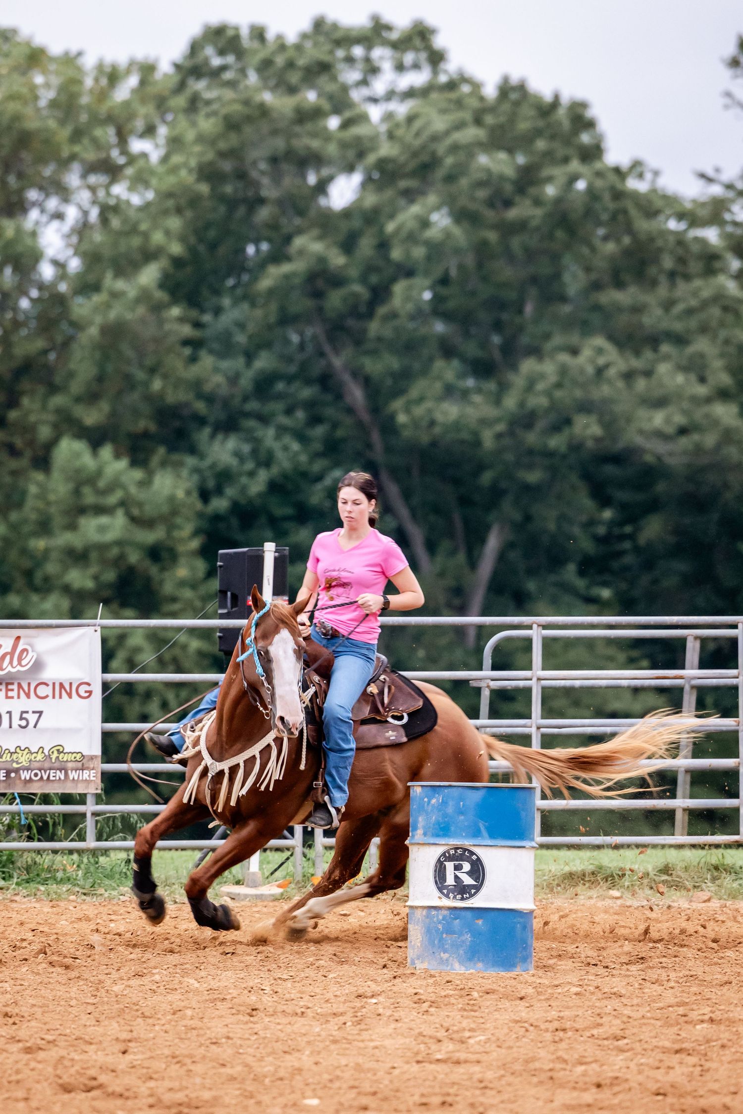 Barrel racing competition with horse and rider rounding a blue barrel at high speed.
