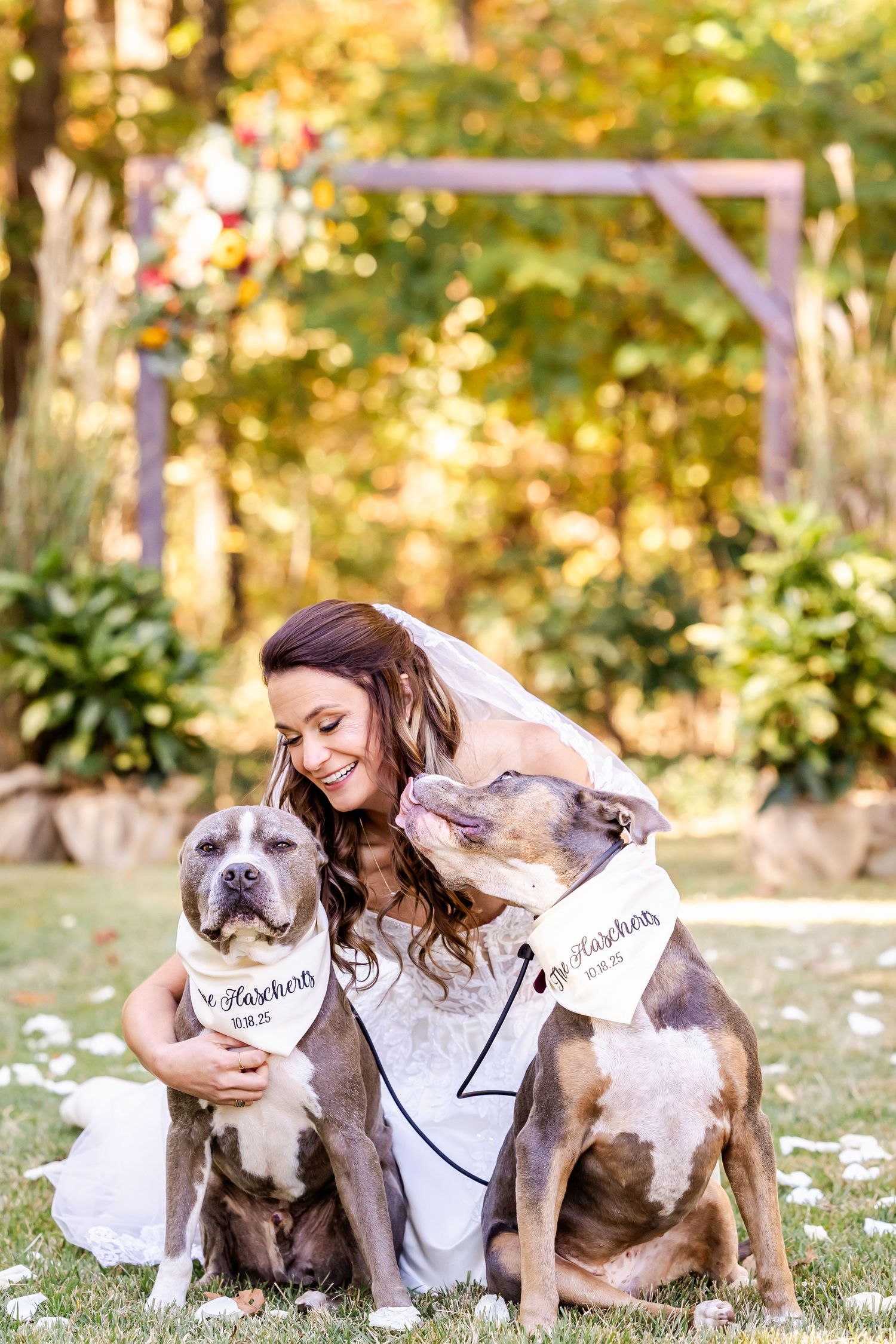 A bride in a white dress embraces two dogs wearing matching bandanas in a sunny outdoor garden setting.