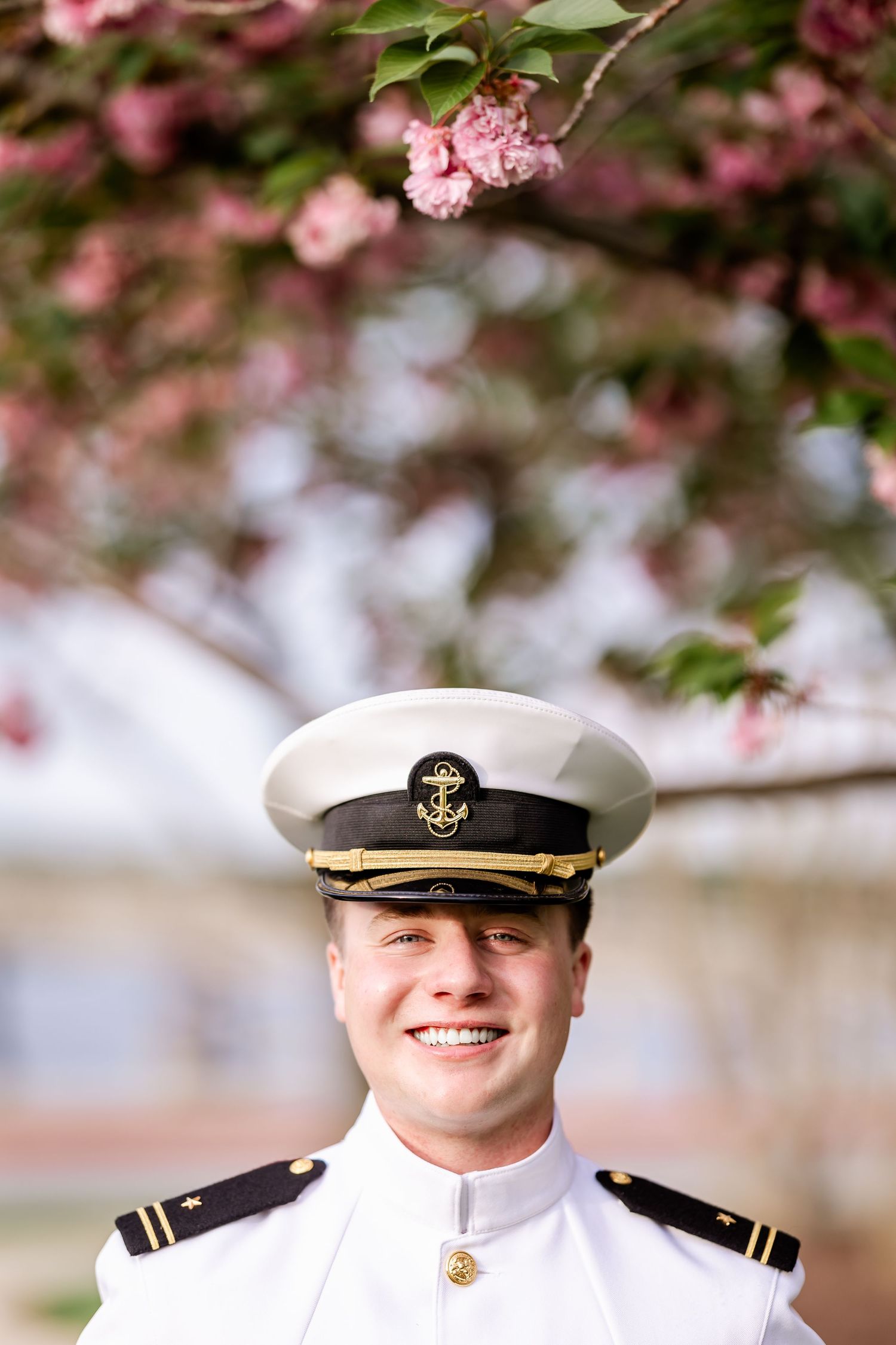 A naval officer in dress whites stands under blooming pink cherry blossoms on a spring day.
