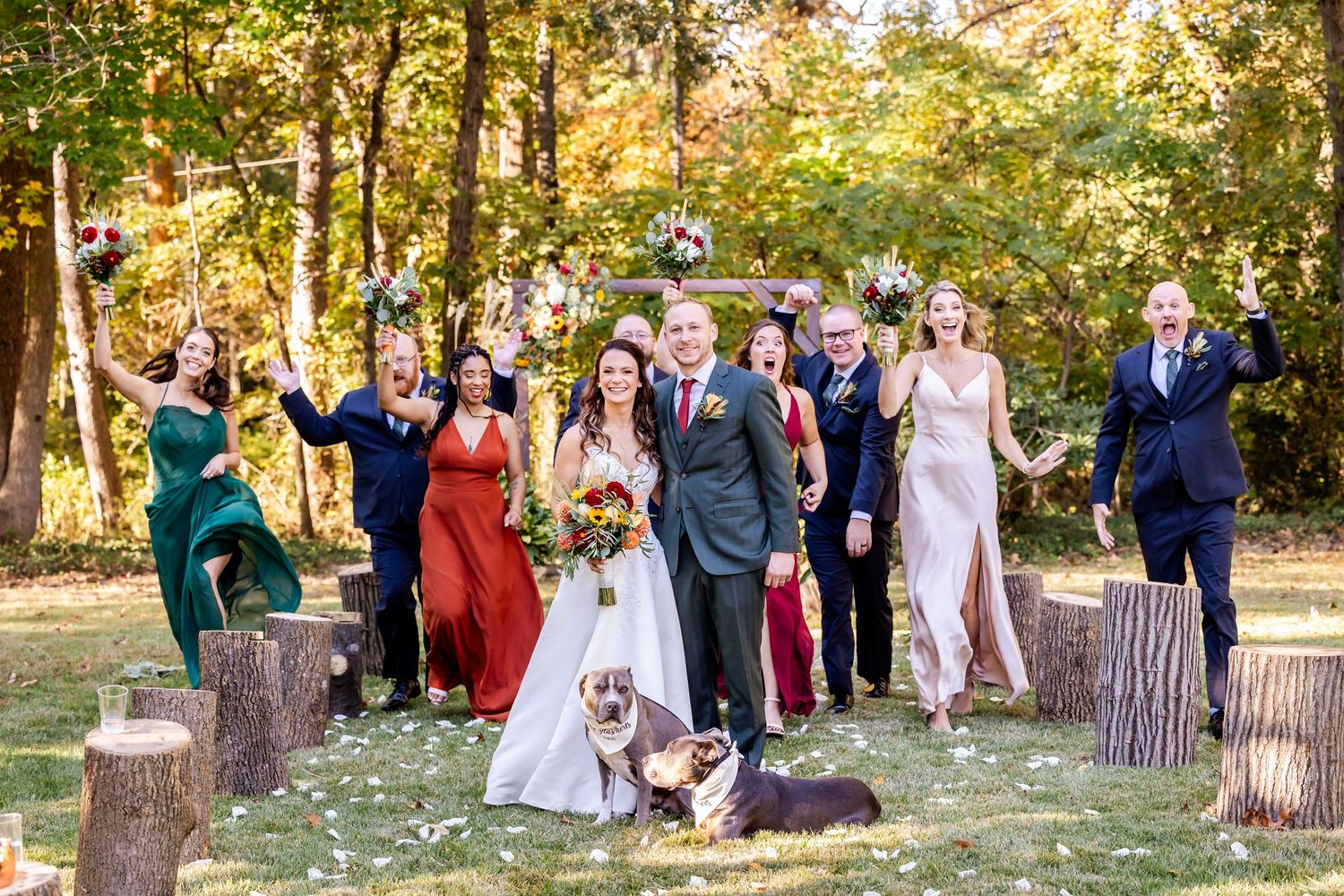 Large wedding party in formal attire with dogs poses on tree stumps in an autumn forest.