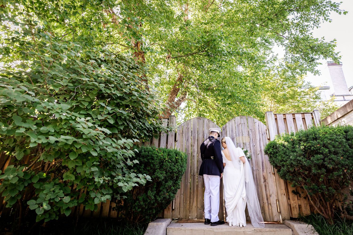 A sequence of wedding photos shows a couple posing in front of a wooden fence with lush greenery.