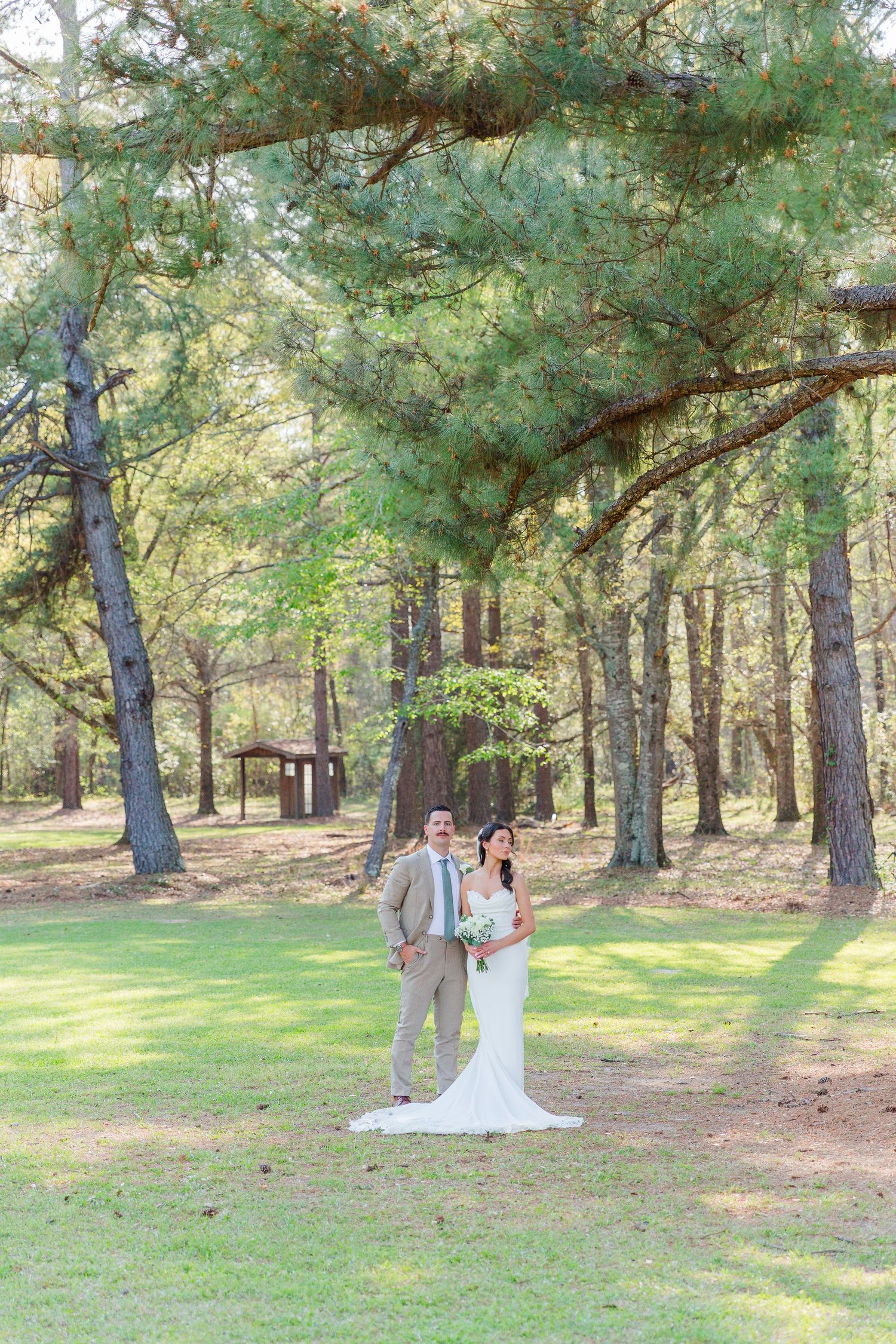 A romantic wedding couple stands together in a sunlit pine forest clearing on their special day.