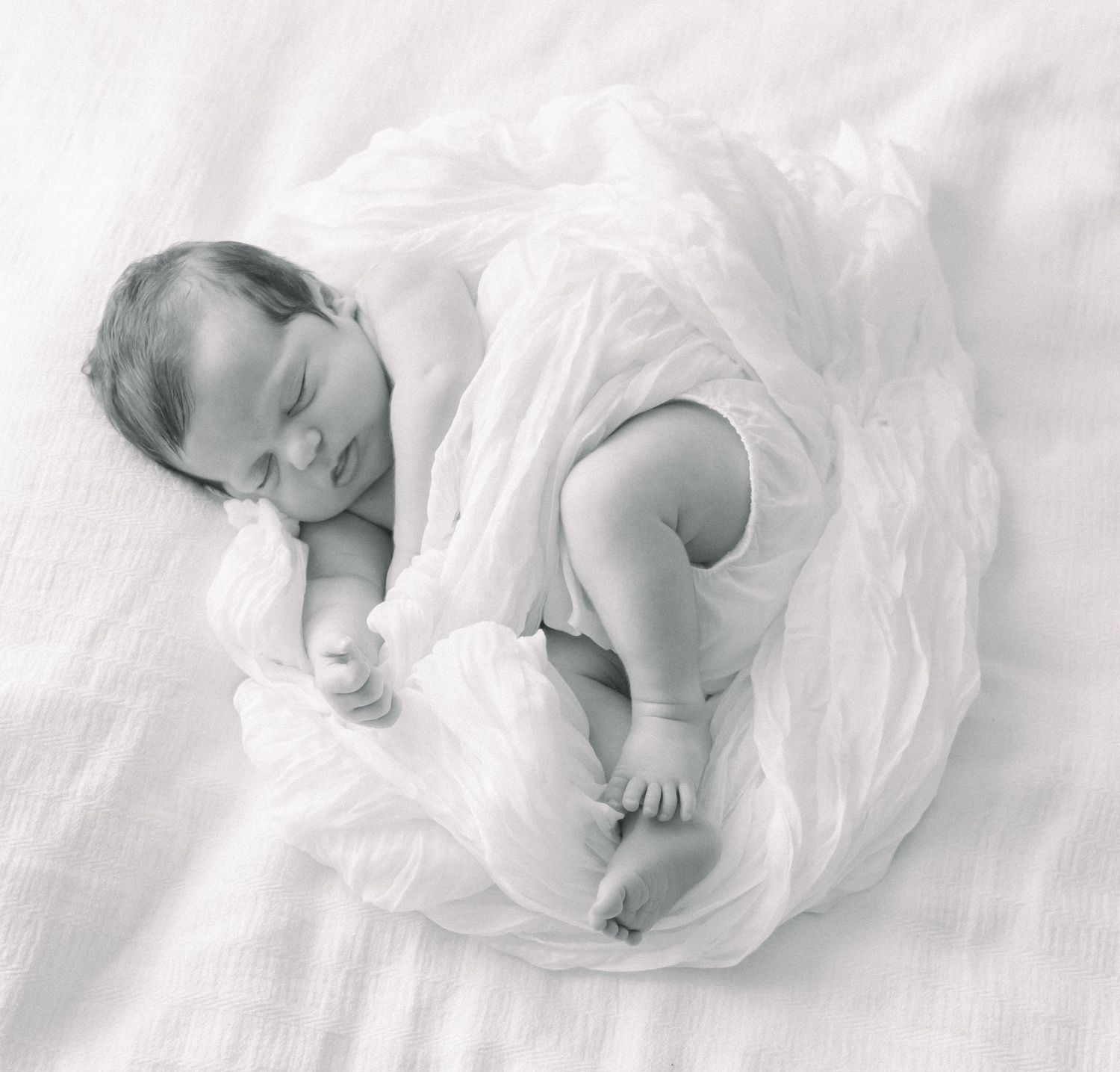 newborn studio sessoin