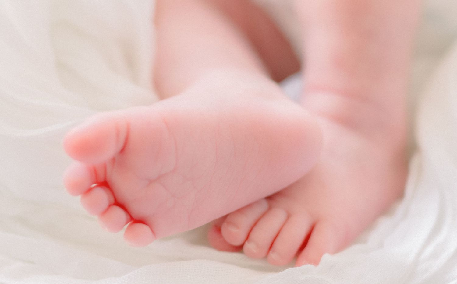newborn studio session