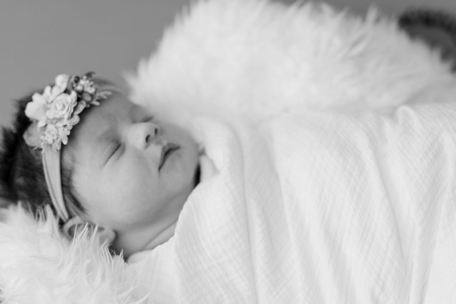 newborn studio session