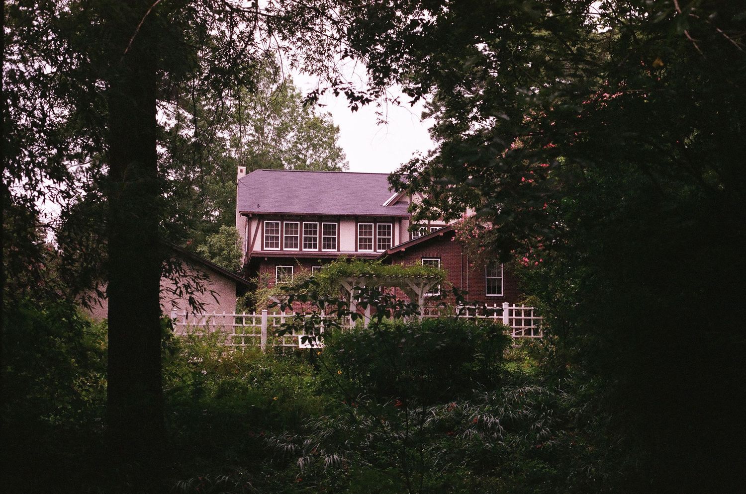 Charming brick house surrounded by dense green trees and lush garden foliage in a wooded setting.