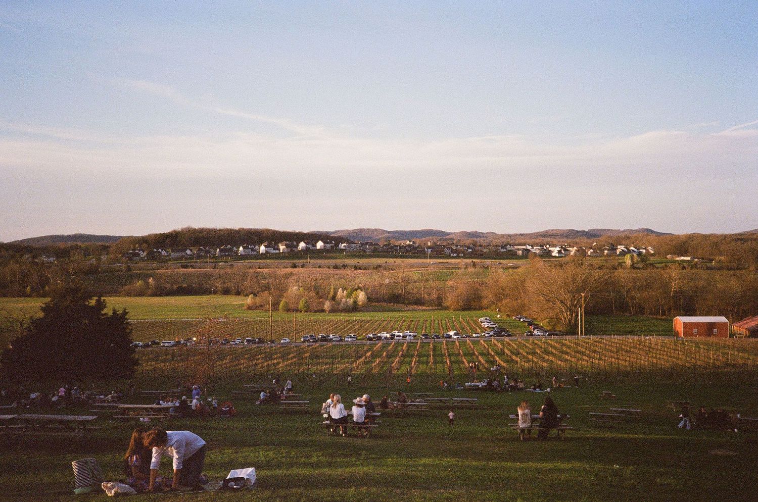 Aerial view of a scenic farm with rows of crops and people gathered on a hillside at golden hour.
