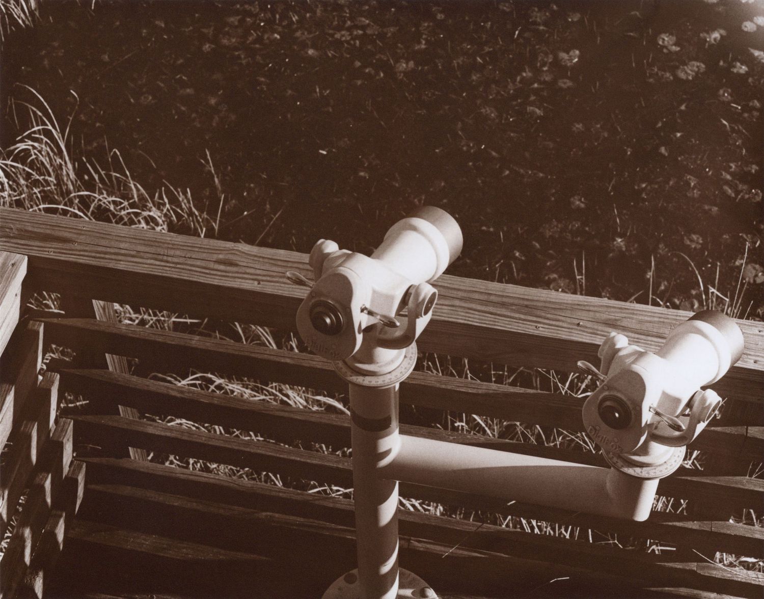 Sepia-toned photo of vintage binoculars mounted on a wooden railing surrounded by wild grass.