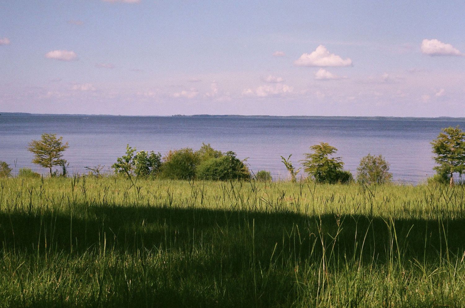 Serene lakeside landscape with lush green grass, scattered trees, and calm blue water under partly cloudy sky.