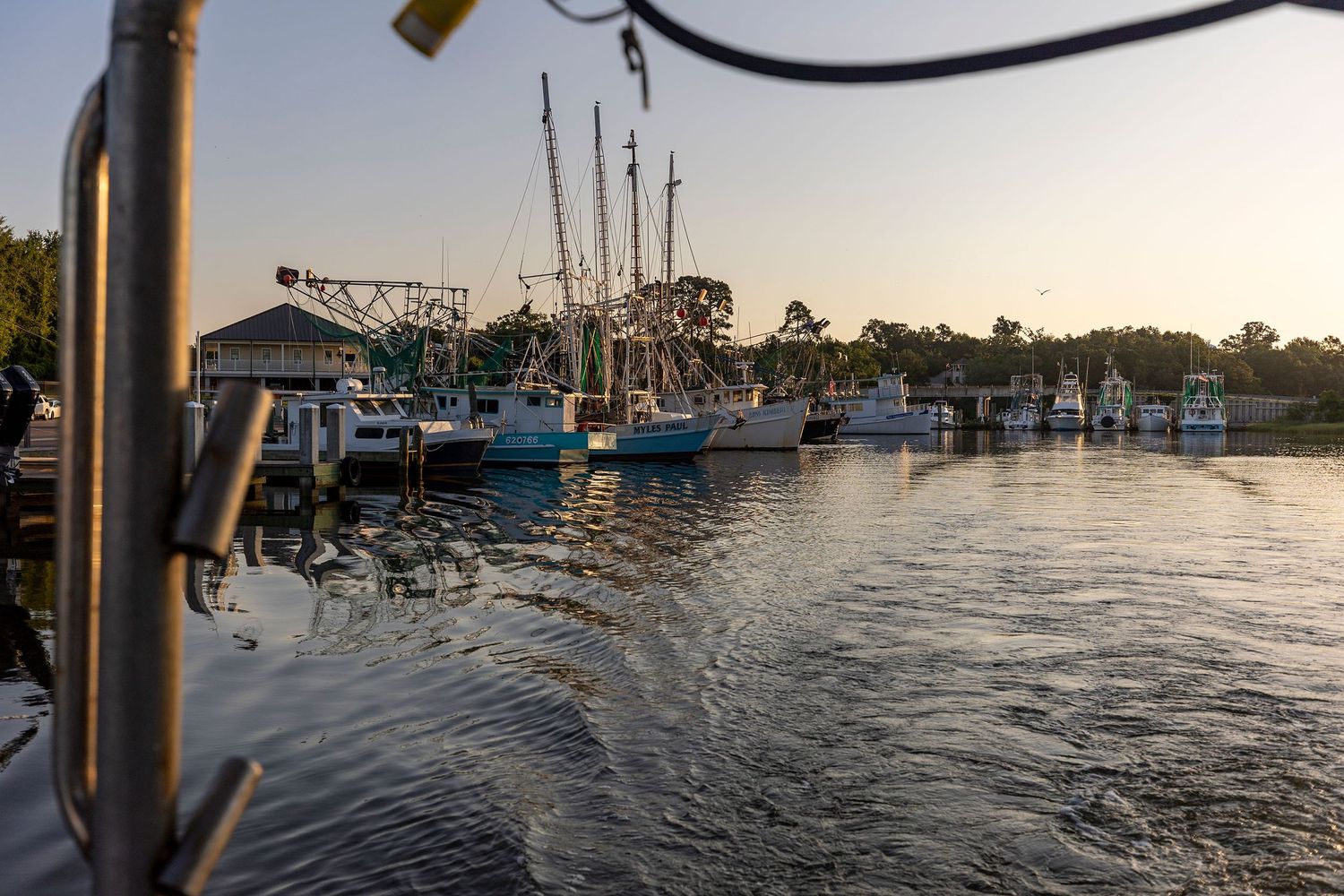 Shrimp boats docked at a peaceful harbor during golden sunset.