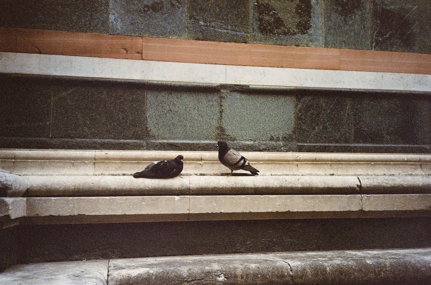 Two pigeons rest on marble steps beside a weathered stone wall in an urban setting.