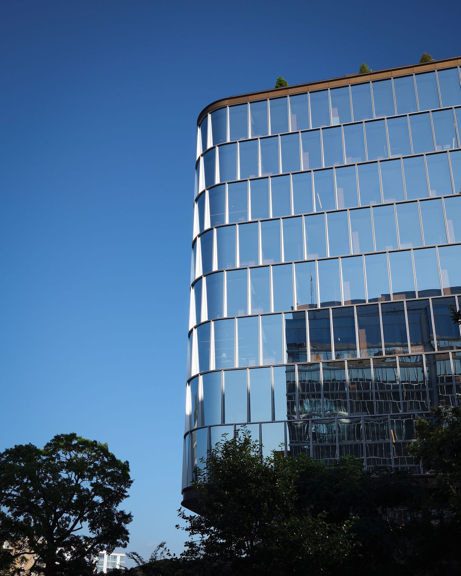 Modern curved glass office building reflecting blue sky with trees in the foreground.