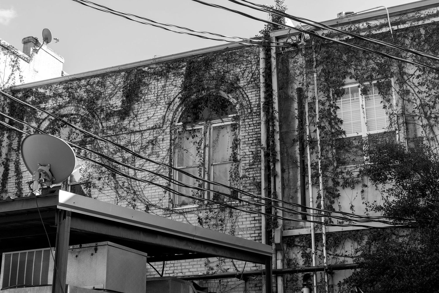 Black and white image of an old brick building covered in ivy with power lines crossing the urban sky.
