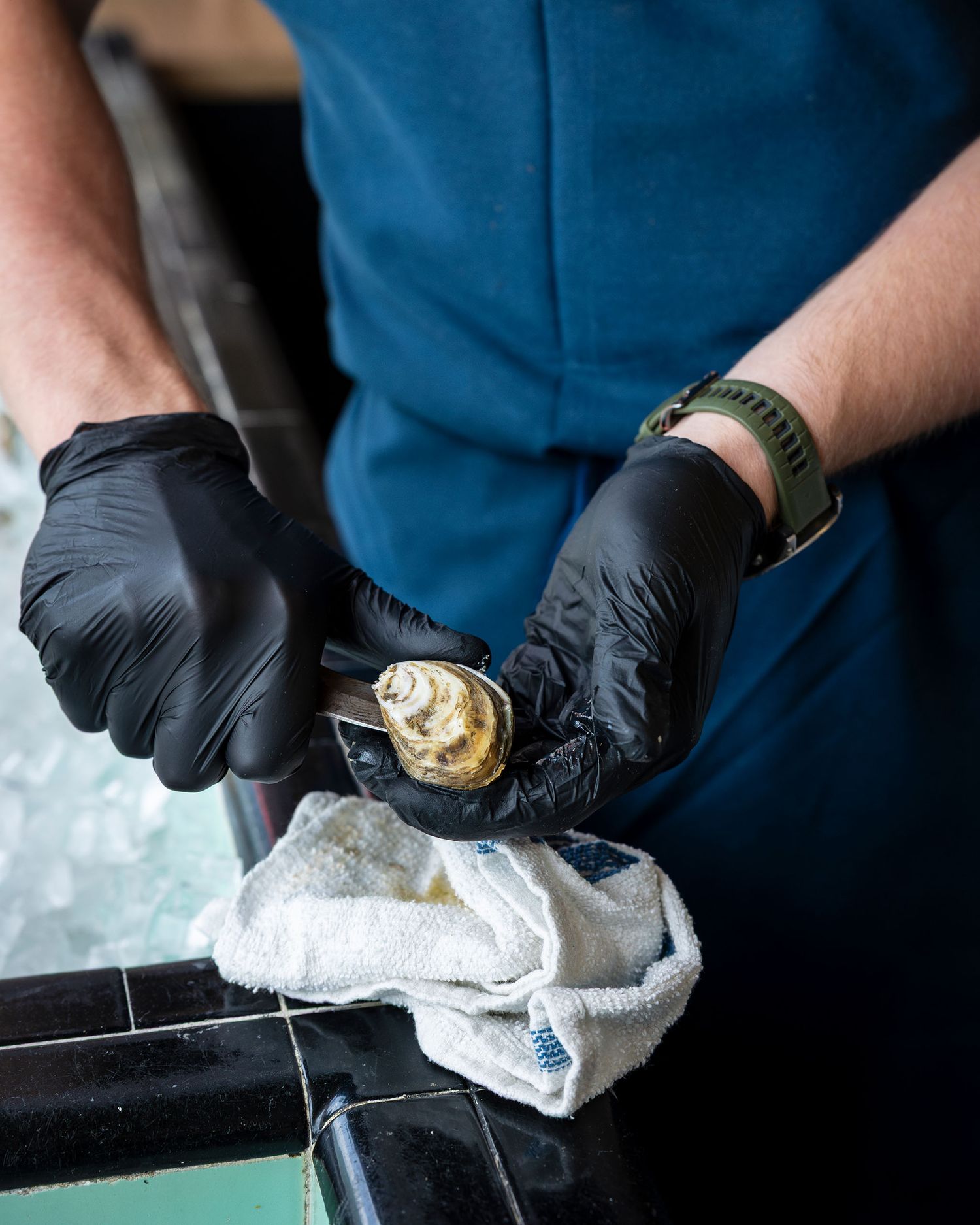 Gloved hands shuck a fresh oyster on ice using a knife and cloth towel.
