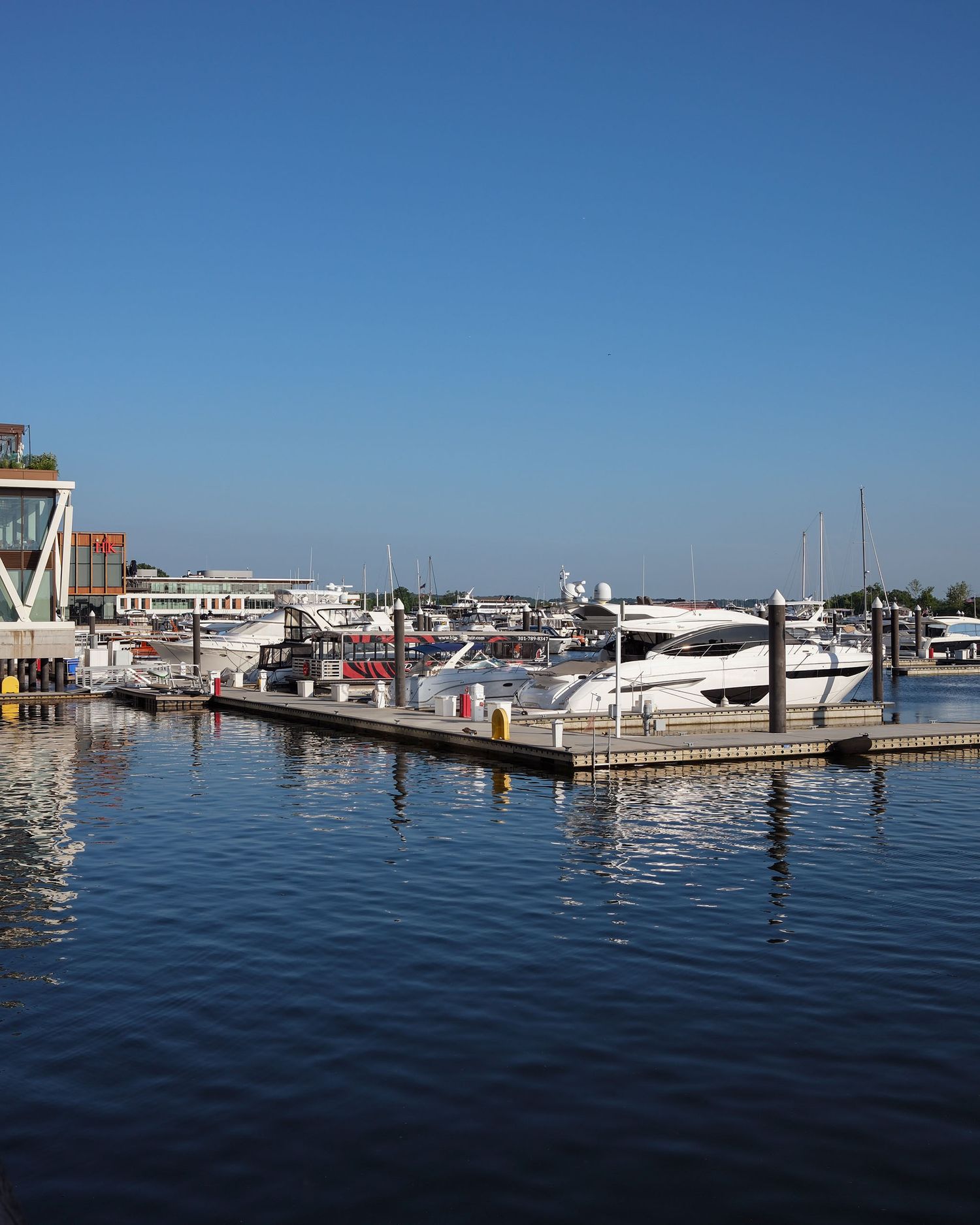 Calm marina with luxury yachts and boats docked under a clear blue sky.