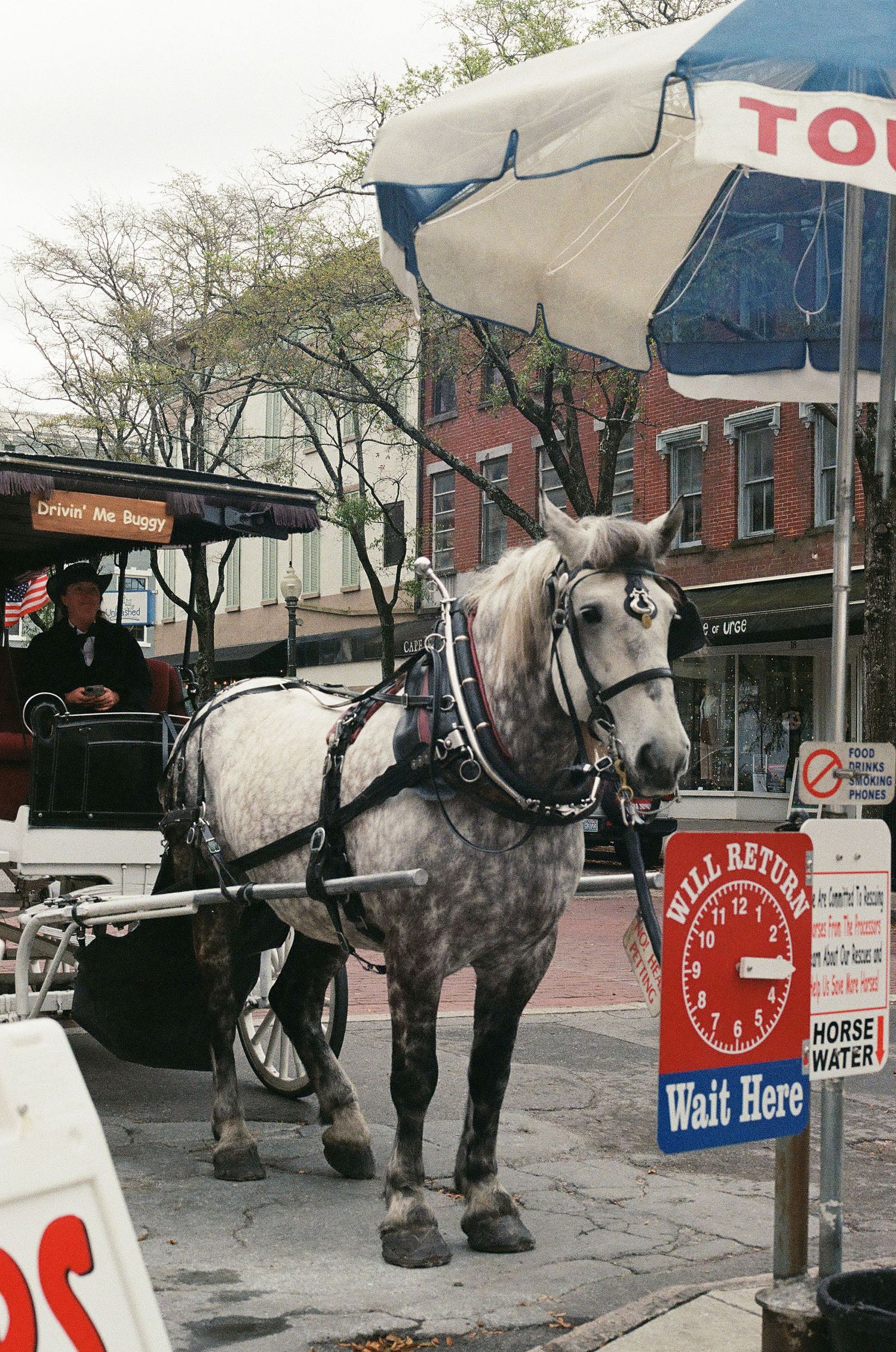 A dapple grey horse in harness stands beside a carriage on a busy town street.
