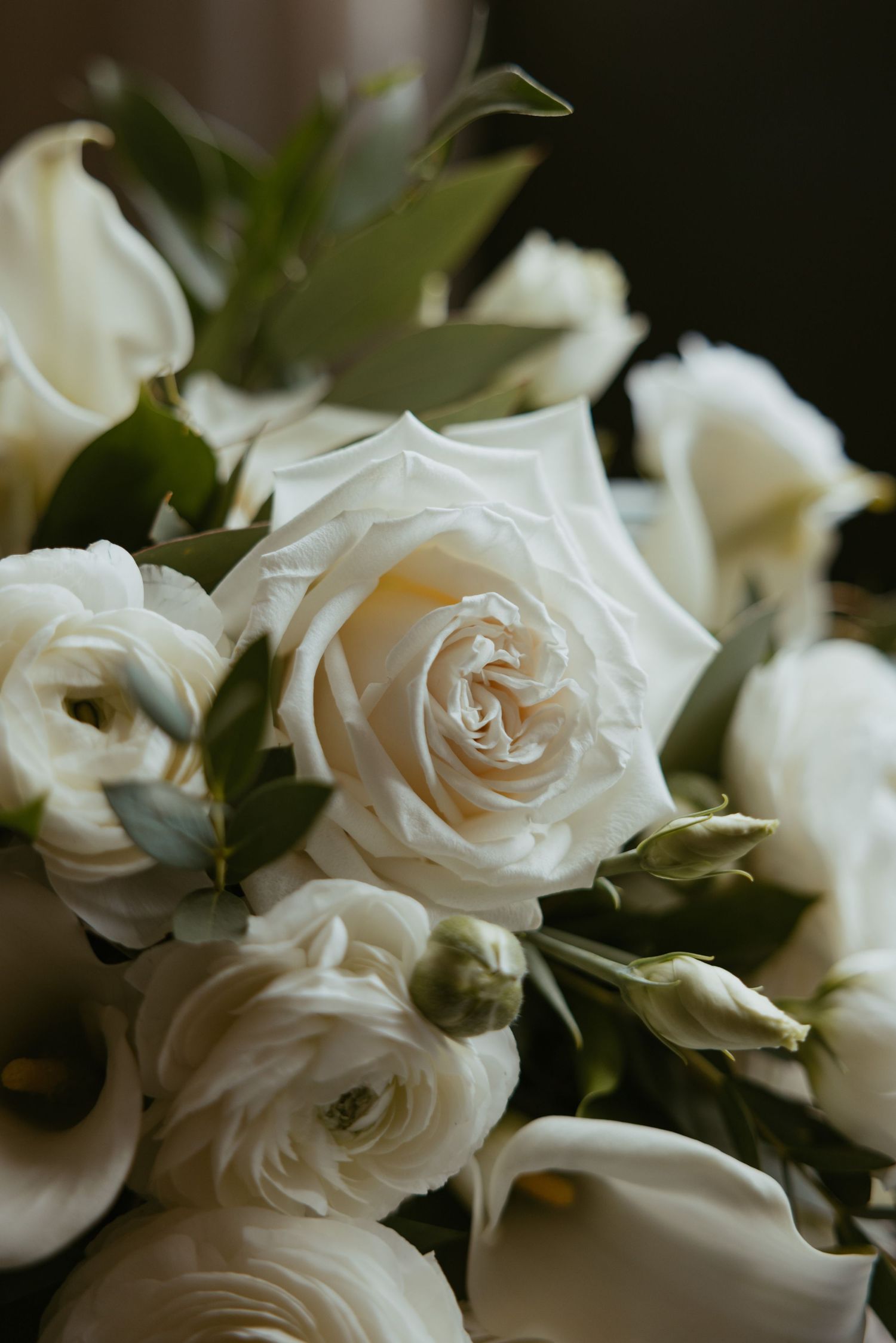A series of elegant white roses with soft petals and green leaves arranged in a delicate floral composition.