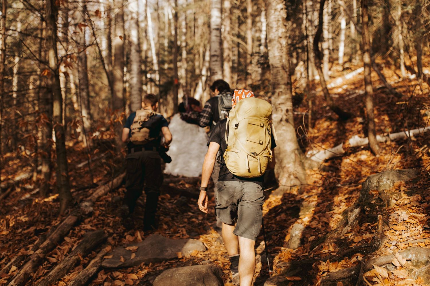 Jackie and Andy Brosonski hike the West Ridge Trail on Mount Cardigan in their wedding attire.
