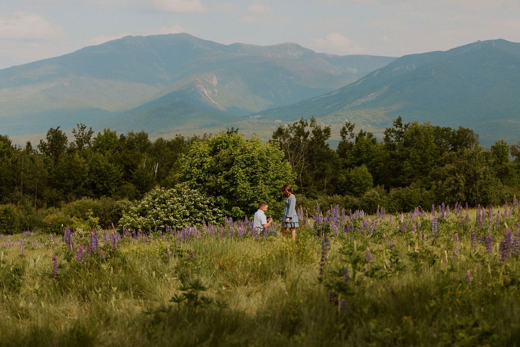 Sugar Hill surprise proposal NH