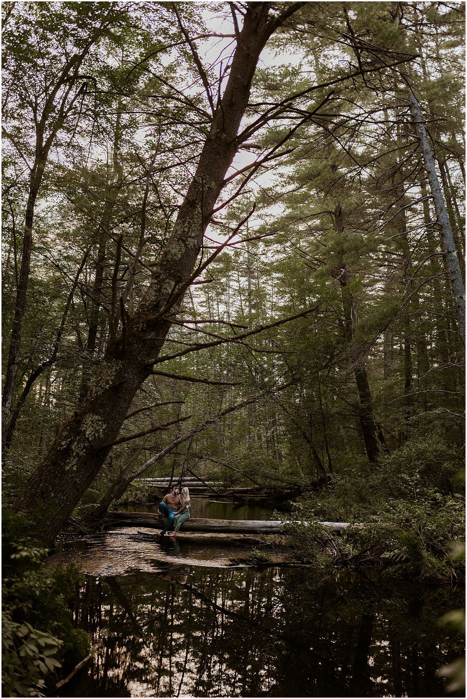 New Hampshire Photographer - forest photoshoot