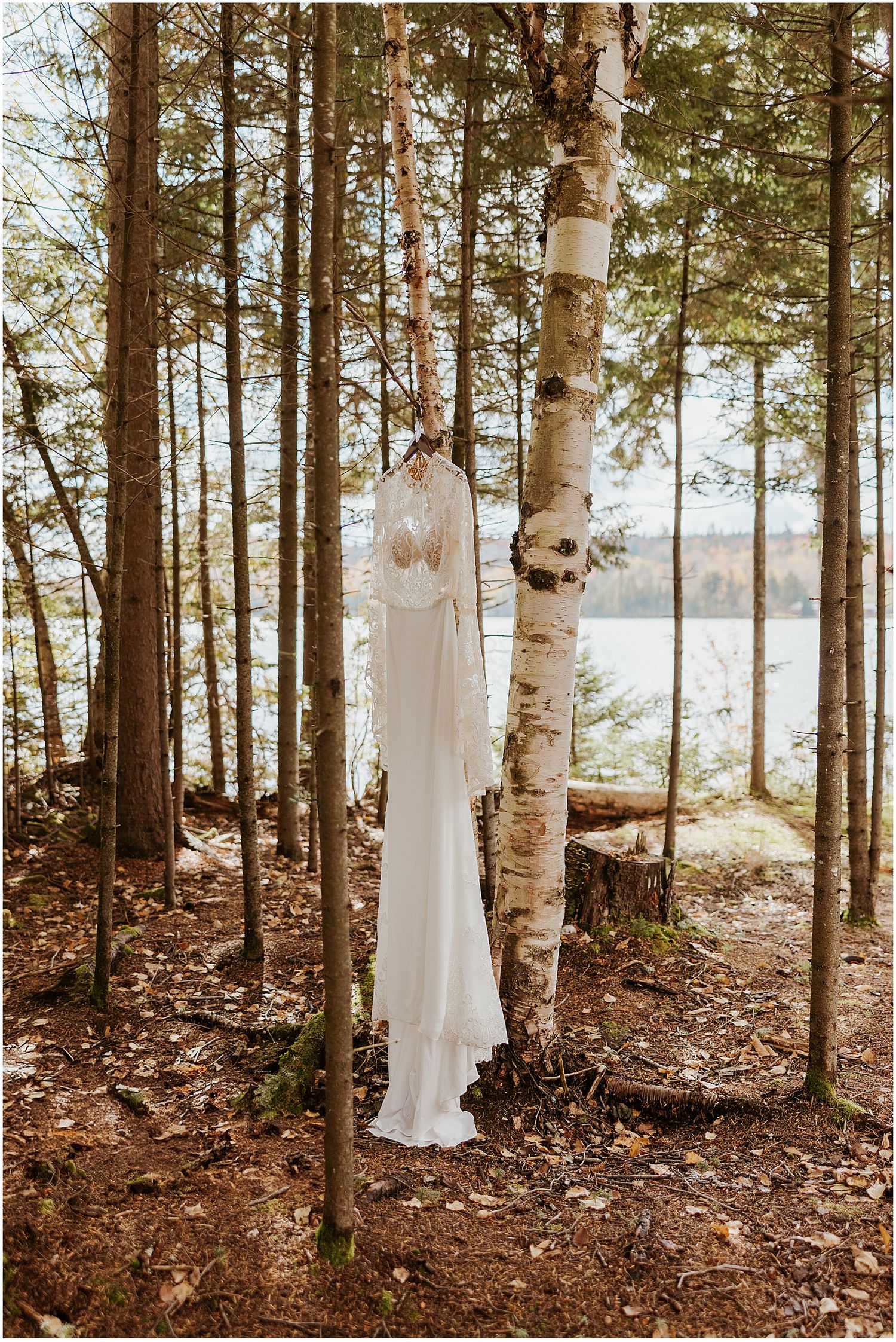 Bridal gown photos in nature Robin Easler Photography