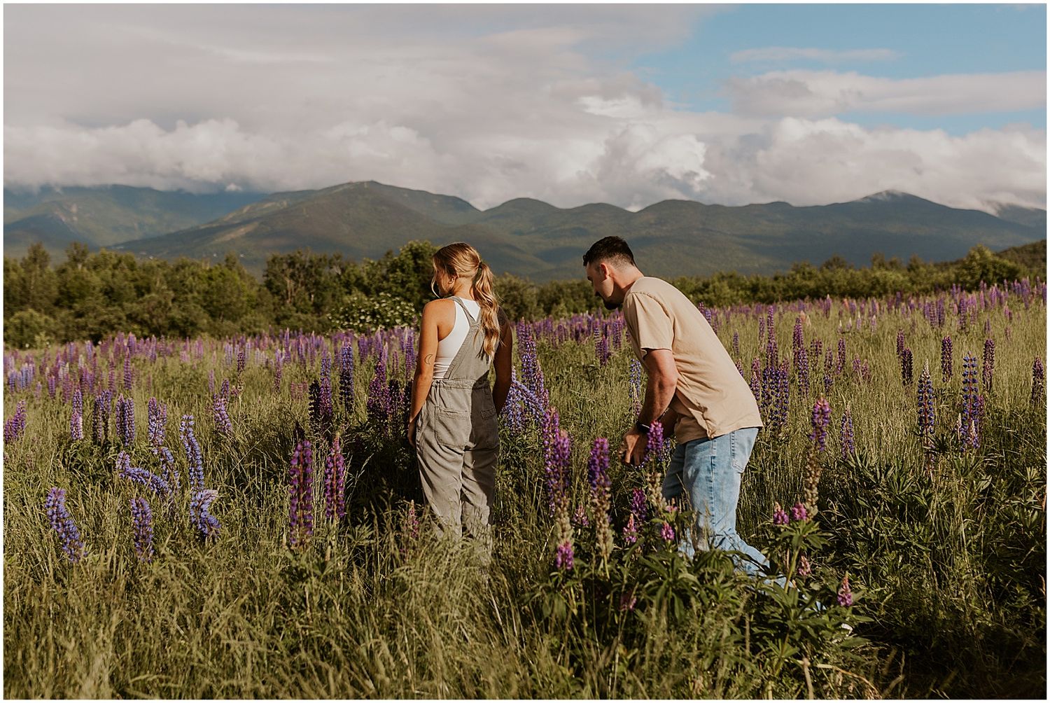 Lupine field engagement photos - Robin Easler Photography