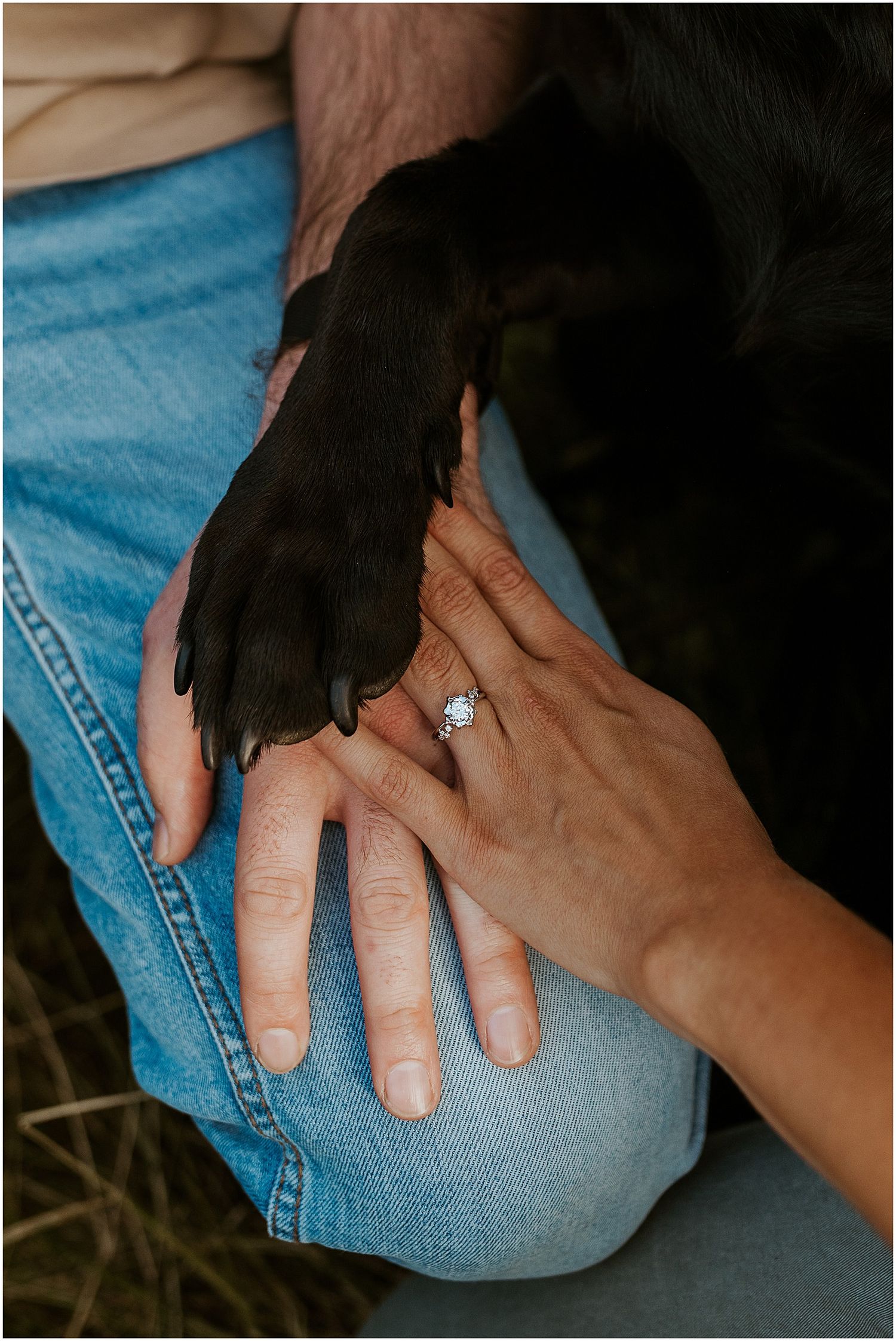 NH Engagement photo session