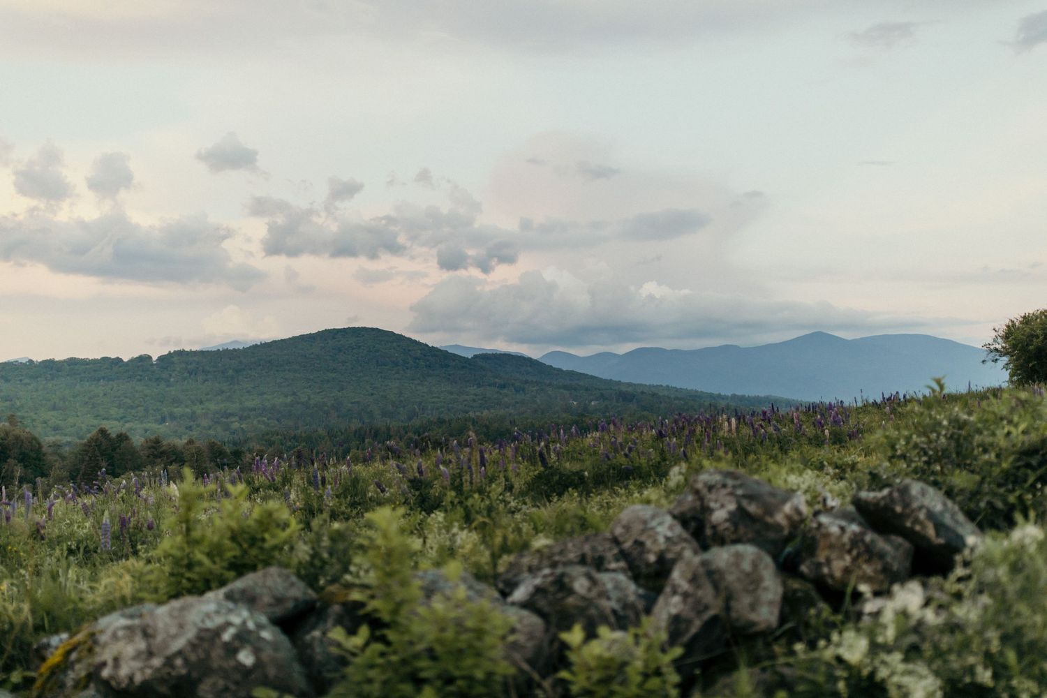 New Hampshire Wedding Photographer, New Hampshire Wedding, Sugar Hill New Hampshire, White Mountain Wedding Photographer