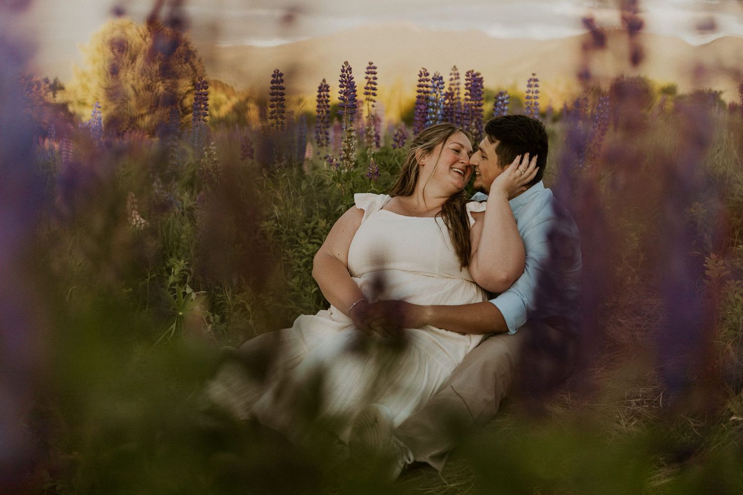 Terise and Jose cuddling up together in a field of purple lupines in Sugar Hill New Hampshire.