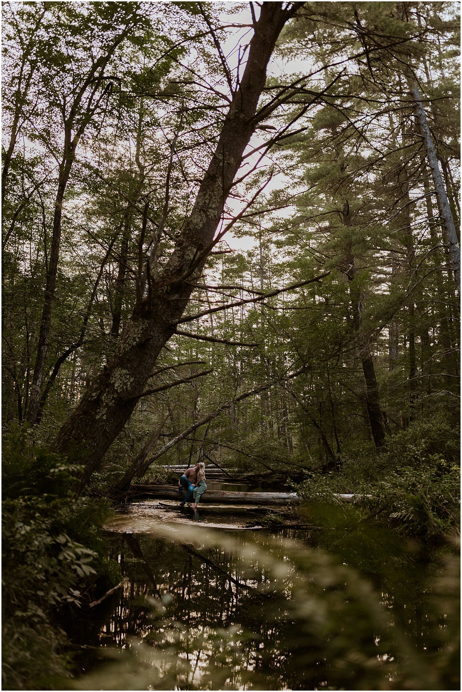 New Hampshire Photographer - forest photoshoot