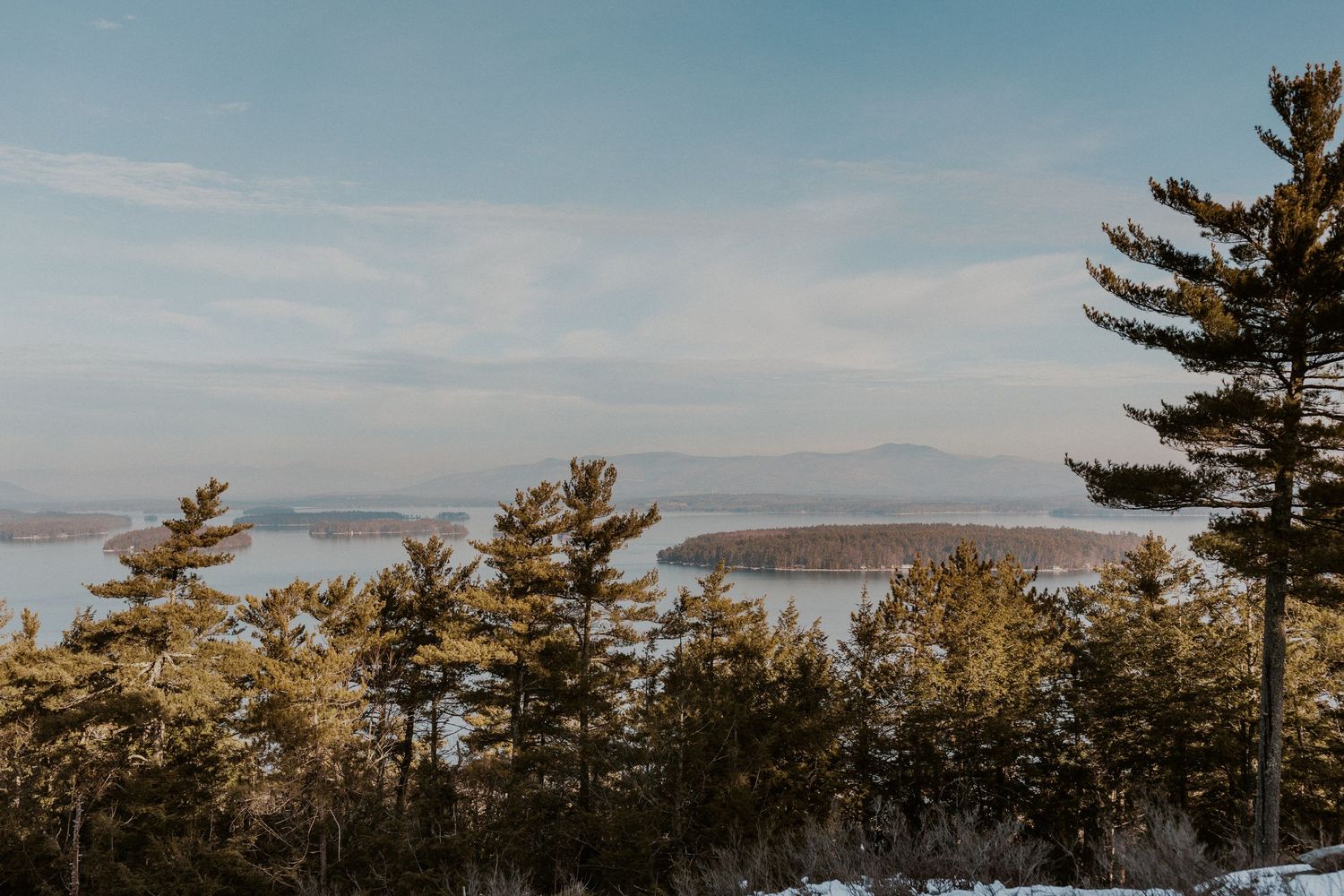 Winter coastal landscape with evergreen trees and distant mountains against blue sky.