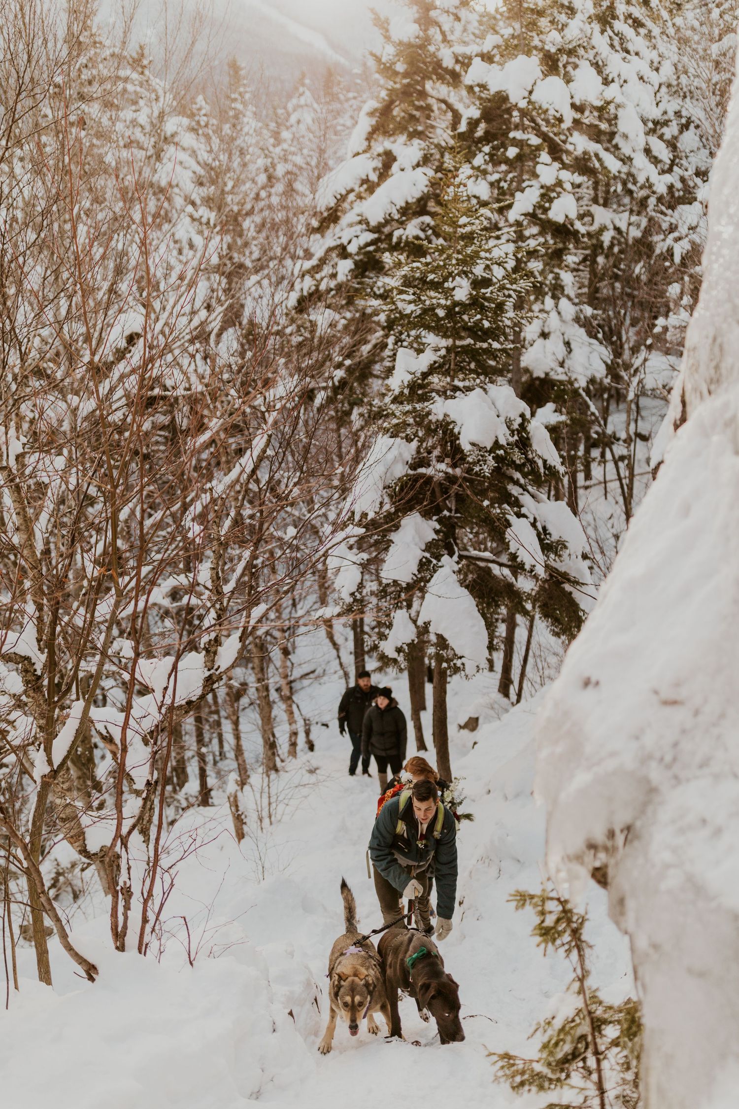 Franconia Notch State Park Elopement Photos