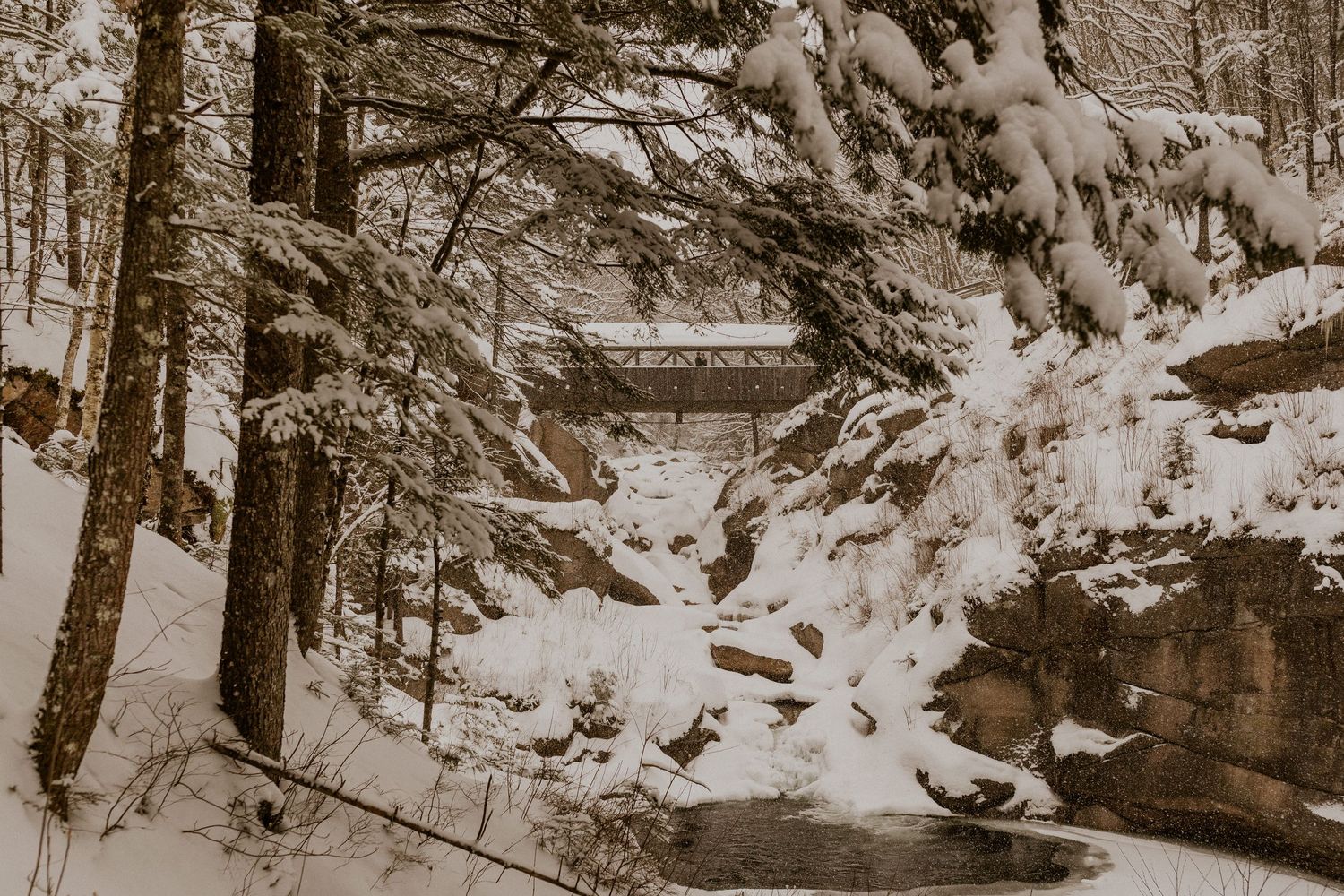 Taylor and Ken snuggling up together in a White Mountain National Forest Shelter while hiking the Flume Gorge in NH.