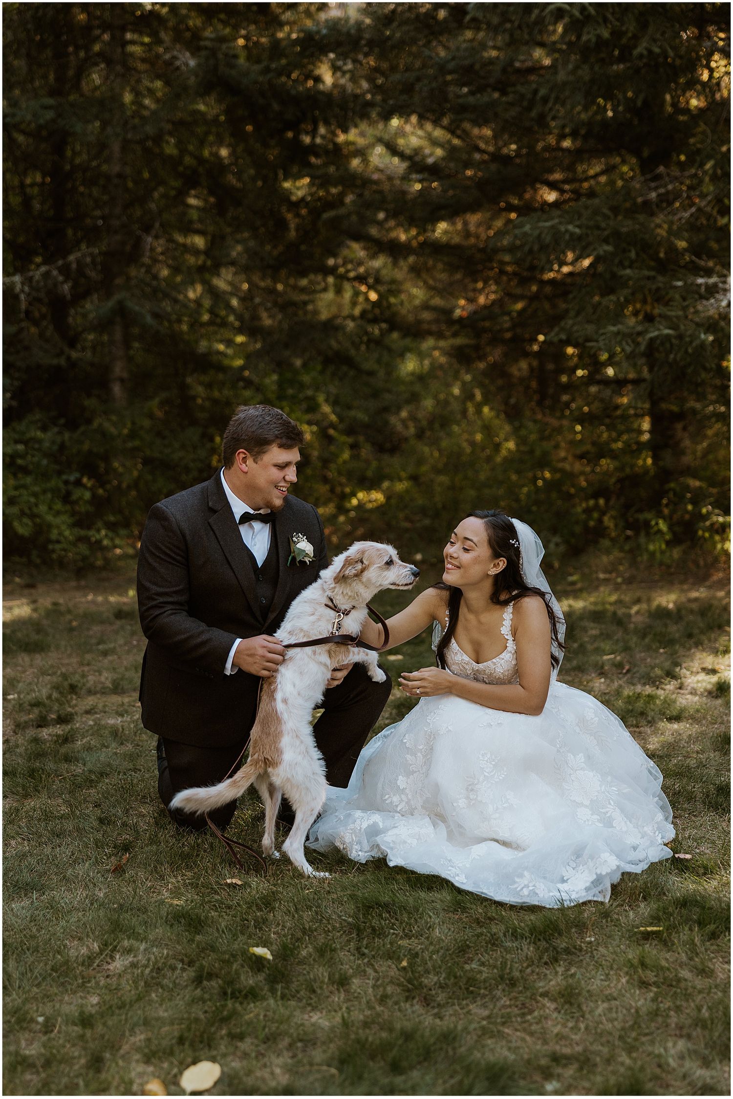 Wedding couple plays with their white dog on grass during outdoor photo session.