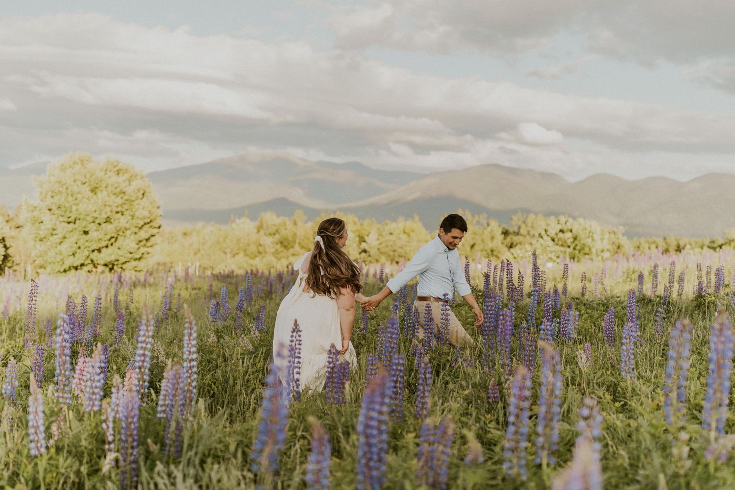 Jose leading terise through a field of lupines in Sugar Hill New Hampshire during their engagement photoshoot.