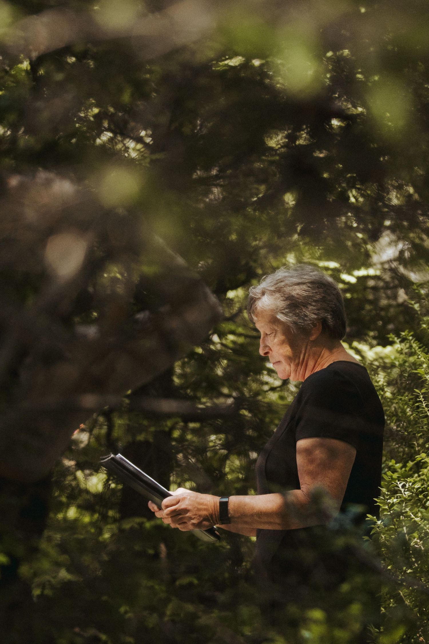 Person in black shirt reading outdoors surrounded by sunlit foliage.