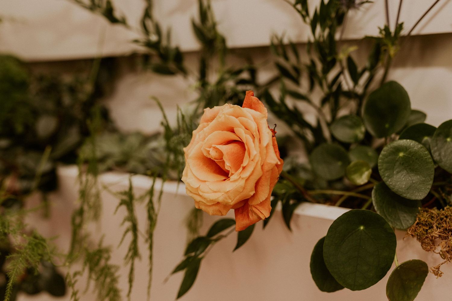 Delicate peach roses and white flowers create an elegant floral arrangement against a muted background.