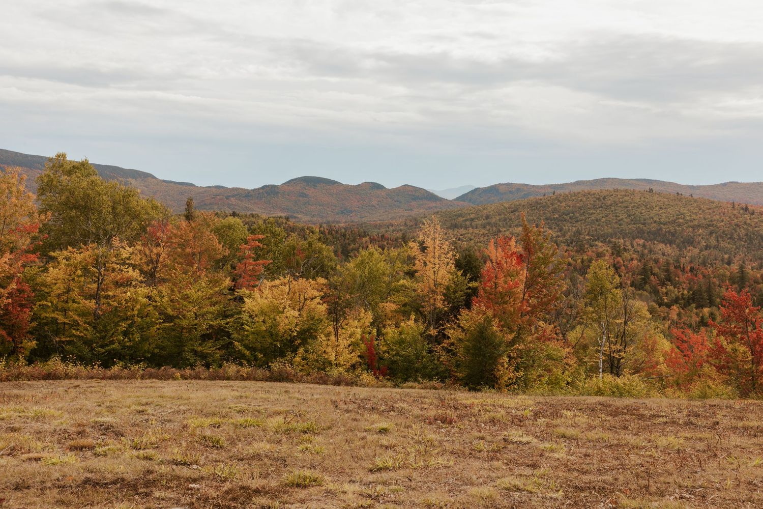 Autumn foliage with colorful red, orange, and yellow trees covering rolling mountain hills under a cloudy sky.