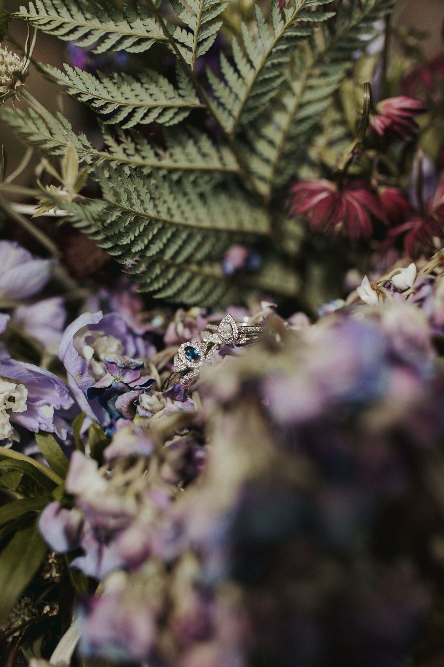 Artistic macro shot of fern leaves and purple flowers in garden setting.