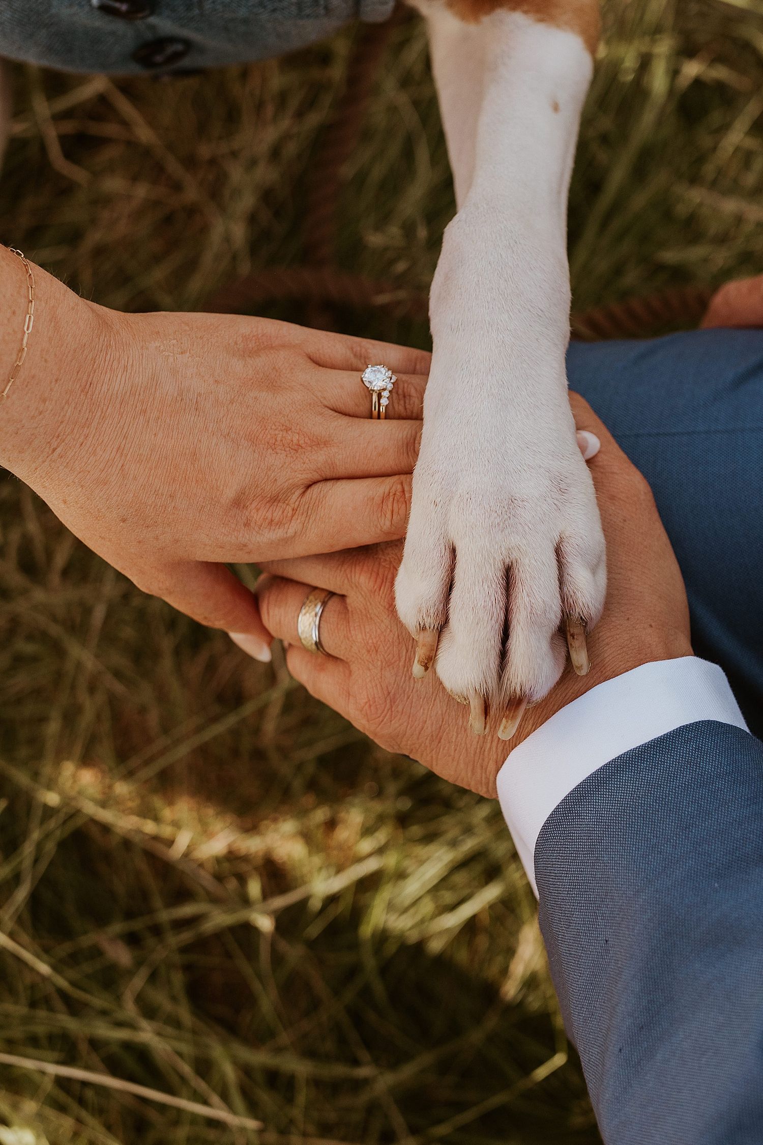 Bride and groom holding hands with dog paw on top, wedding rings visible, celebrating marriage with beloved pet.