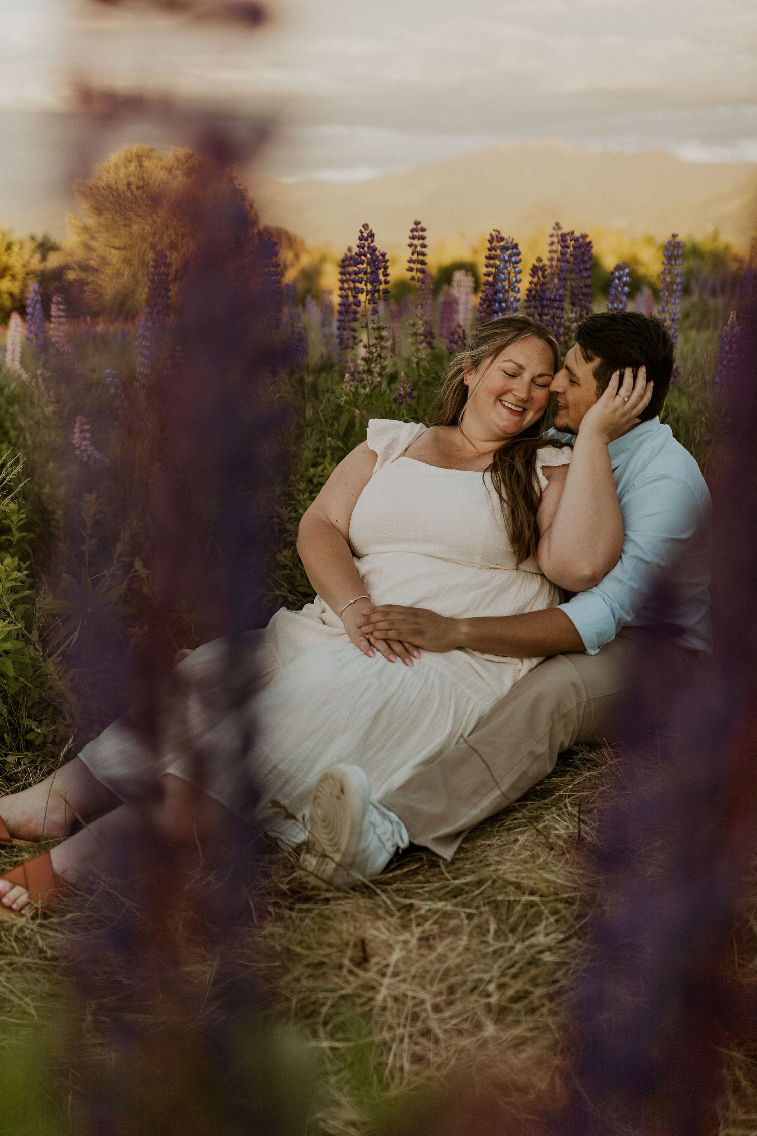 Terise and Jose cuddling up together in a field of purple lupines in Sugar Hill New Hampshire.\