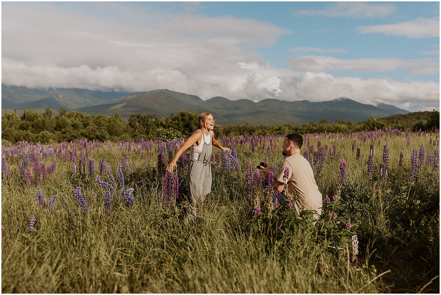Surprise proposal in Lupine field NH