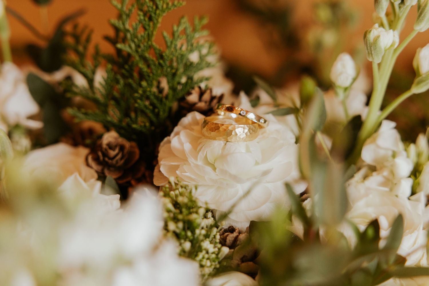 A close-up macro shot of white flowers with delicate petals and green foliage in soft natural lighting.
