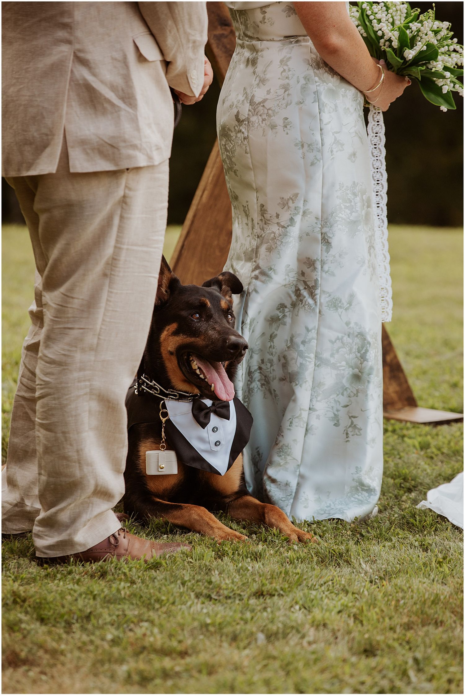 Bride and groom's dog at their Maine wedding ceremony