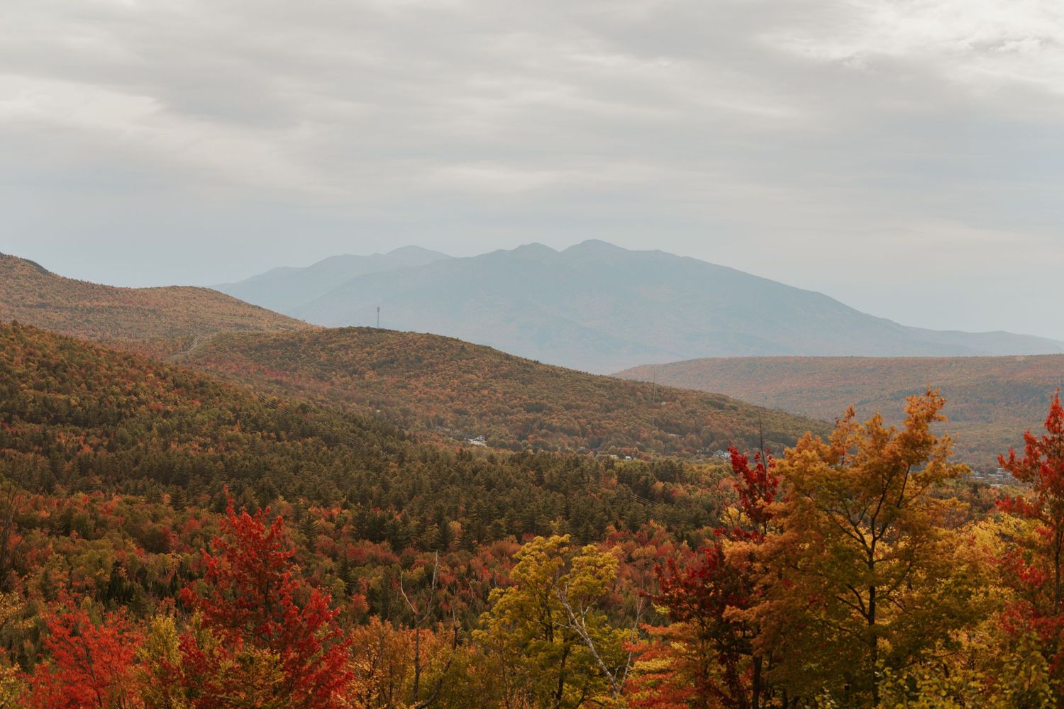 Autumn foliage blankets rolling hills with vibrant red and orange trees, misty mountains in the background under cloudy skies.