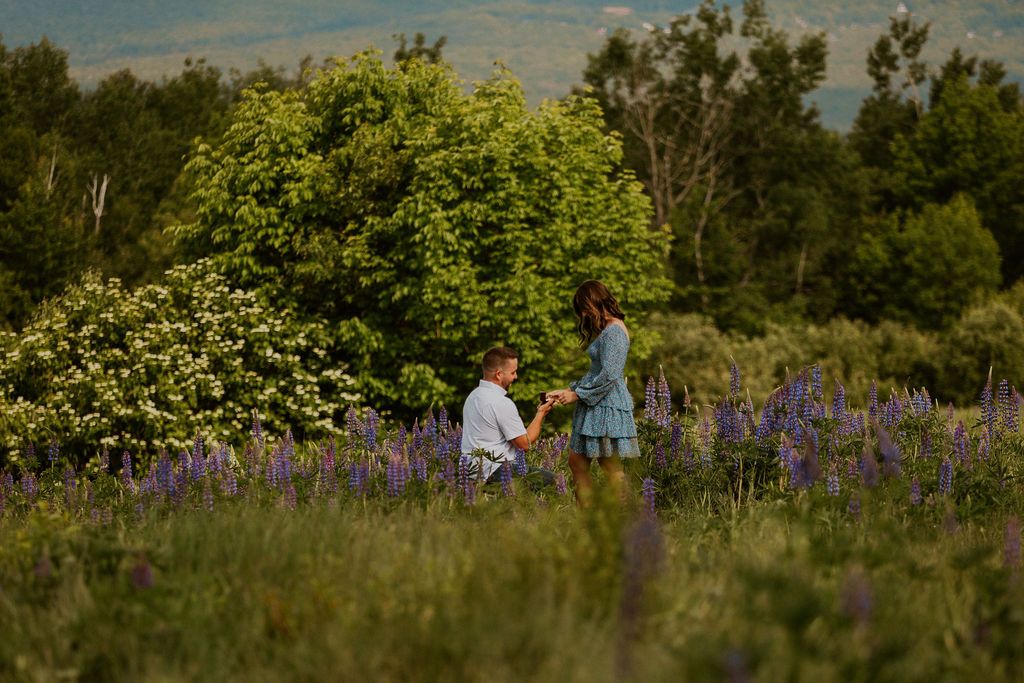 Sugar Hill proposal NH