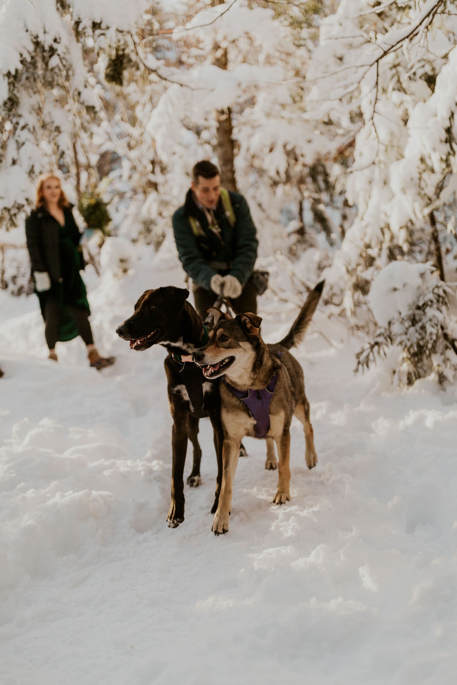 Franconia Notch State Park Elopement Photos