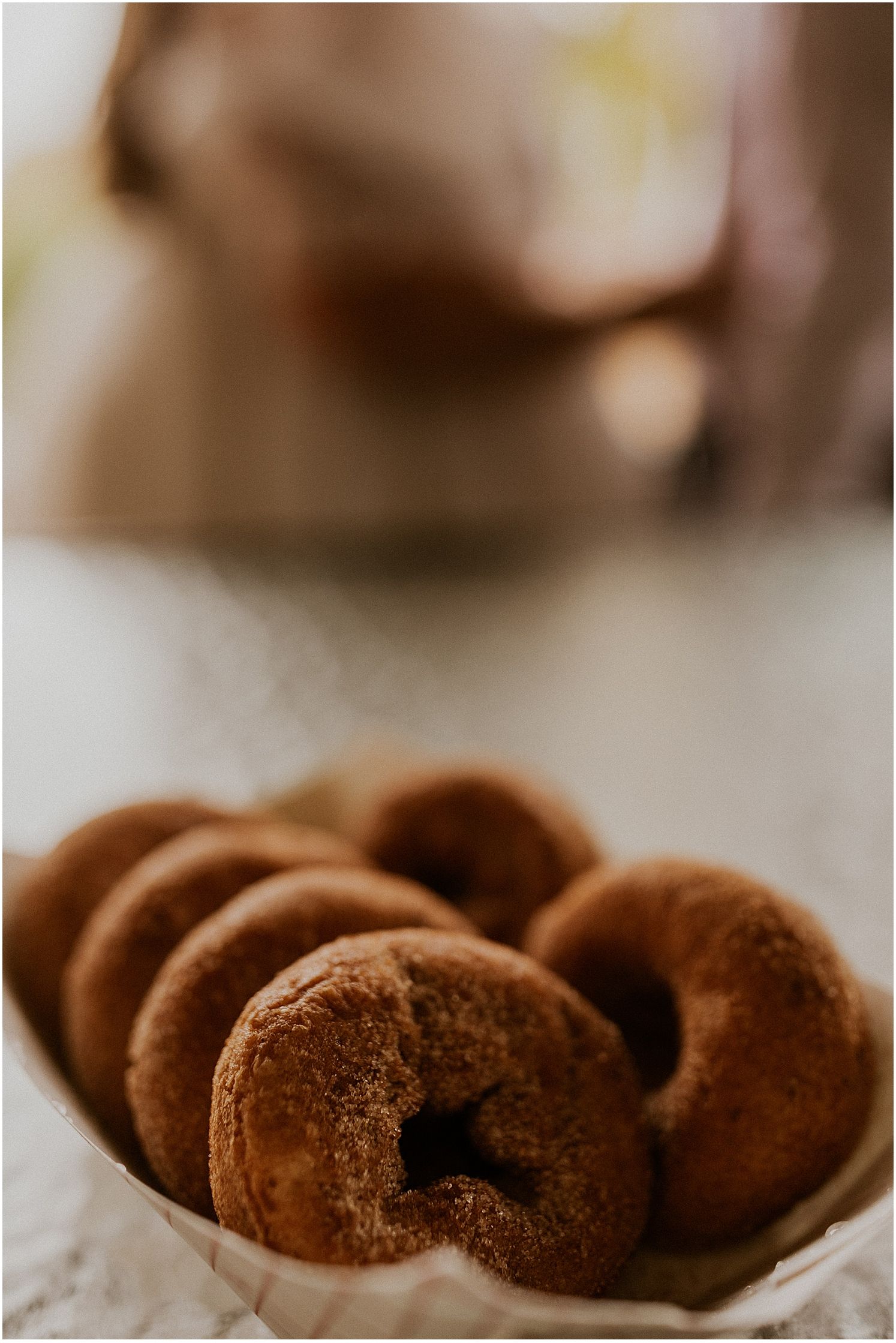 NH apple orchard cider donuts